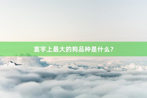寰宇上最大的狗品种是什么？