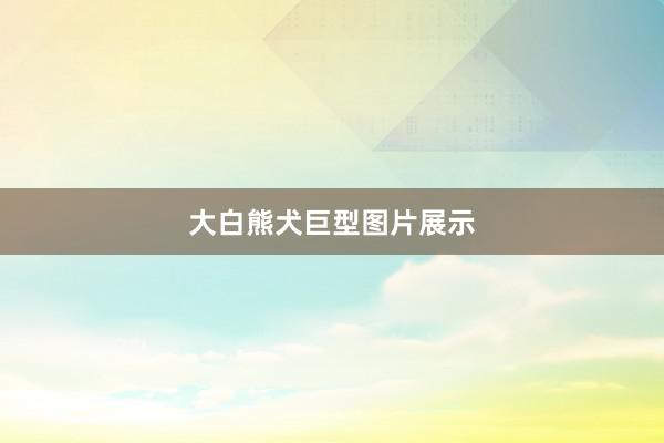 大白熊犬巨型图片展示