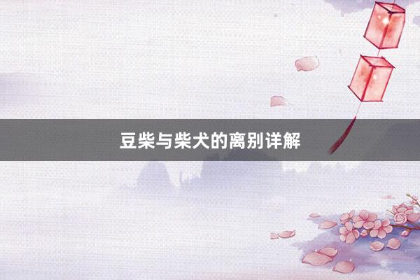 豆柴与柴犬的离别详解