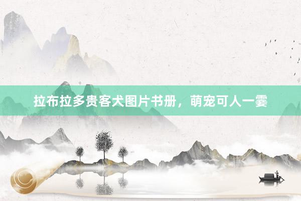 拉布拉多贵客犬图片书册，萌宠可人一霎