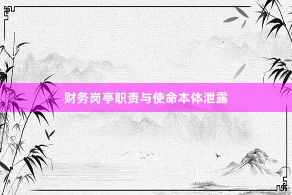 财务岗亭职责与使命本体泄露